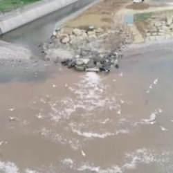 Atık sular Marmara Denizi'ne akıyor! CHP'li belediyede ses yok