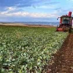 Bakan Yumaklı tarih verdi! Çiftçilere destek ödemesi yapılacak