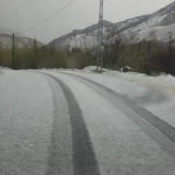 Ceviz b&uuml;y&uuml;kl&uuml;ğ&uuml;nde dolu yağdı, meyve ağa&ccedil;ları zarar g&ouml;rd&uuml;