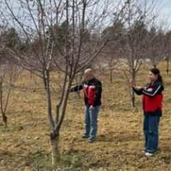 Kütahya'da çiftçilere monilya hastalığı uyarısı