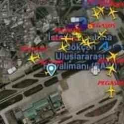 Sabiha Gökçen Havalimanı apronunda tilki alarmı