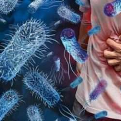 Gıda güvenliği alarmı: Listeria ve E. coli sağlığı tehdit ediyor!