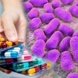 Küresel sağlık tehdidi: Acinetobacter baumannii bakterisine antibiyotikler bile fayda etmiyor!