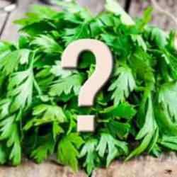 Marketten maydanoz diye aldı bakın ne çıktı! “Siz sakın bakmadan almayın!”