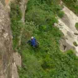 3 haftada yok oluyor! 400 metre aşağıda yetişen şifalı ot için canını riske attı