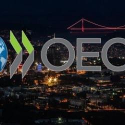 OECD’den Türkiye’ye 'temkinli politika' çağrısı: Büyüme sürüyor, yapısal reformlar kritik