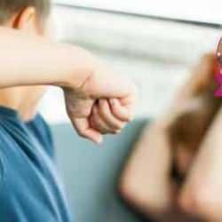 Psikolog Elif Zahide Gök çocuklarda şiddet eğilimi hakkında aileleri uyardı