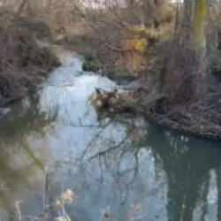 Silivri&rsquo;de &ccedil;evre alarmı! Lağım suları Marmara&rsquo;ya ve baraja karışıyor