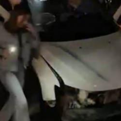 Yola çıkan domuz kazaya neden oldu: 1 ölü, 6 yaralı