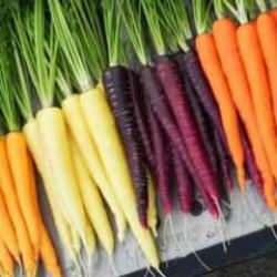 Böylesi ne görüldü ne duyuldu! Aşırı miktarda havuç tüketince başına bakın ne geldi