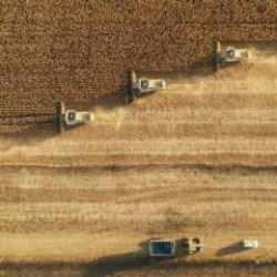 Çiftçilere 6 milyar liralık destek ödemesi bugün yapılacak