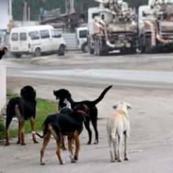 Bakanlıktan t&uuml;m belediyelere uyarı: Doğacak her zarardan birim amirleri de sorumlu