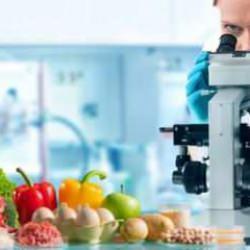 Kanser riskini %30 azaltıyor! İşte bu 10 besin zırh gibi koruma altına alıyor