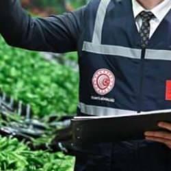 Ticaret Bakanlığı zirai don sonrası "fahiş fiyat" girişimlerini mercek altına aldı