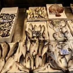 Trabzon'da mezgit ve istavrit kilogramı 250 liradan satılıyor