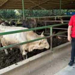Bursalı besici açıkladı: Kurban alırken bunlara dikkat edin