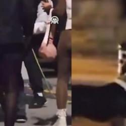Bakırköy'de pitbull dehşeti yaşatan kişiye ceza