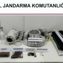 Bodrum'da uyuşturucuya 1 gözaltı