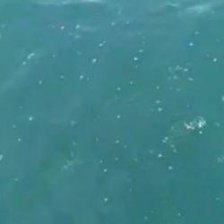 Deprem anını tekneyle yaşadılar: "Denizin i&ccedil;i kaynıyor"