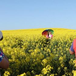 Fotoğraf tutkunları şimdi de bunu keşfetti: Her yerden ziyaretçisi var
