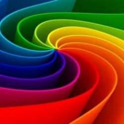 Kimse bunu beklemiyordu! İsmi ve görünüşü herkesi şaşkına çevirdi