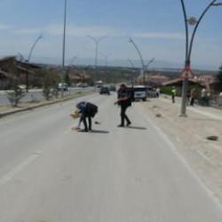 Malatya'da hafif ticari aracın çarptığı kadın hayatını kaybetti