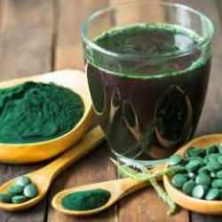 Protein şampiyonu Spirulina! T&uuml;ketenin kasları ve kemikleri beton gibi g&uuml;&ccedil;l&uuml; oluyor