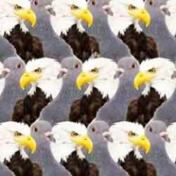 Zeka testi: Yalnızca %21'i doğru bildi! 7 saniyede kediyi g&ouml;rebilen dahidir