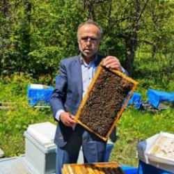 Zirai don arıcılığı da vurdu! Yüzde 60'a varan kayıp bekleniyor