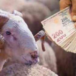 Bu kişiler Kurban Bayramı ikramiyesi alamayacak: Hemen kontrol edin!