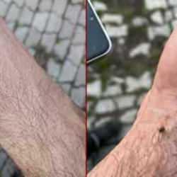 Meralarda endişelendiren manzara! Uzmanlar uyardı: 'Çıplak elle çıkarılmamalı' 