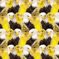 10 saniyelik zeka testi! Kanarya ve kartalın arasına saklanan aslanı g&ouml;ren dahidir