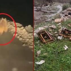 Arıcıların kabusu başladı: Kış uykusundan uyanan ayı 20 kovanı parçaladı!