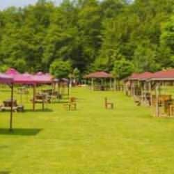 Bahar geldi! Bu illerde yaşayanlar dikkat: Kene vakalarının en çok olduğu yerler...