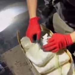 Bakan Yerlikaya duyurdu! 2 ilde 311,5 kilo uyuşturucu madde ele geçirildi