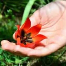 Bu hatayı yapanlar yandı: Cezası 557 bin TL! Siz de servetinizden olabilirsiniz