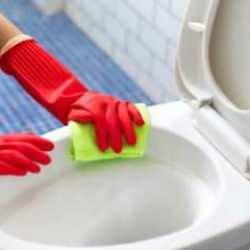 Evinizdeki bu eşya klozeti solladı! Meğer kendisini aratmayacak kadar kirliymiş