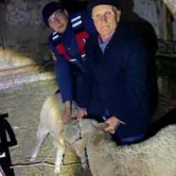 Jandarma kayıp hayvanlarını bulunca d&uuml;nyalar onun oldu 