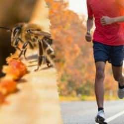 Profesyonel sporcuların sırrı: Kasları çelik gibi yapıyor, enerji veriyor, sakatlıkları anında iyileştiriyor!