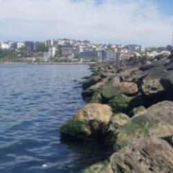 Balıkesir'de kayalıklar arasında ceset bulundu! Cinsiyeti bile belirlenemedi 