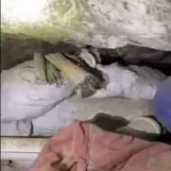 Ter&ouml;ristlere ait mağarada silah ve m&uuml;himmat ele ge&ccedil;irildi