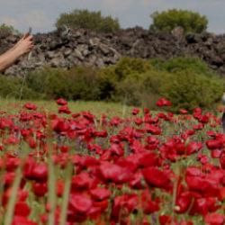 Bu güzelliği gören durup fotoğraf çekiyor