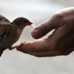Daha adil ve erdemli bir dünya için: İyilikte ısrar