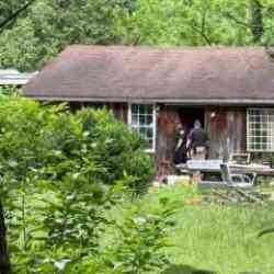 Evdeki fare, altı aylık bebeğin v&uuml;cudunu yedi