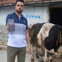Kurban Bayramı öncesi bu dolandırıcılara dikkat: 200 bin TL'sini kaptırdı!