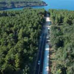 Sinop'ta ormana girişler 31 Ekim'e kadar yasak!
