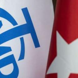 Merkez Bankası: Altının düşüşü, konut ve araçlara olan talebi artırdı!