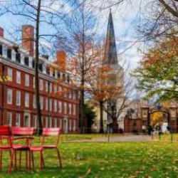 Harvard’tan Trump’a dava! Üniversite federal mahkemeye başvurdu