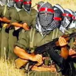 PKK'nın kararına uymadılar: Biz silah bırakmayacağız