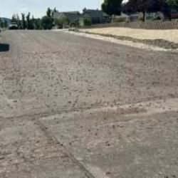 ABD&rsquo;de bir şehri b&ouml;cekler sardı! Halk "kıyametin habercisi" dedi!